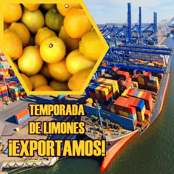 Temporada de limones - Esportamos!